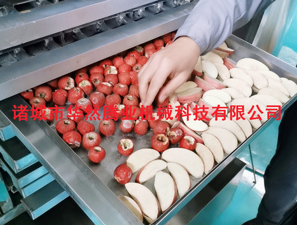 食品真空冻干机的常见故障及其解决方法